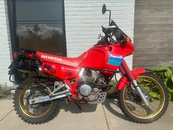 Honda NX650 Dominator, Particulier, 1 cylindre, Enduro, 650 cm³