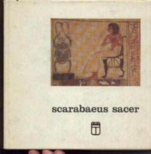 Scarabaeus Sacer, Herman De Meulenaere, Livres, Art & Culture | Architecture, Enlèvement