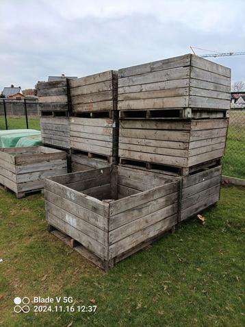 Houten paloxen  beschikbaar voor biedingen