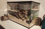 glazen hamsterkooi 80cm breed, Comme neuf, 75 à 110 cm, Enlèvement, Cage