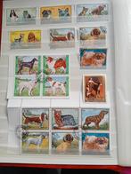 Postzegels per Thematiek: Honden en Katten, Postzegels en Munten, Postzegels | Thematische zegels, Ophalen of Verzenden