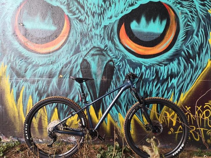 Fathom 29 2 2022, Fietsen en Brommers, Fietsen | Mountainbikes en ATB, Zo goed als nieuw, Giant, Ophalen