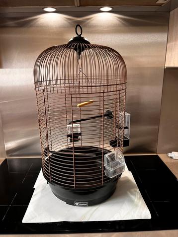 Vogelkooi te koop - beschikbaar voor biedingen