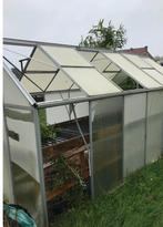 Gratis serre en kweekrafel, Ophalen, Kweekkas, Aluminium, Polycarbonaat