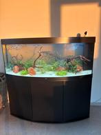 Juwel Vision 450, Enlèvement, Comme neuf