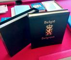 Belgique Album DAVO III, Postzegels en Munten, Postzegels | Toebehoren, Verzamelalbum, Verzenden