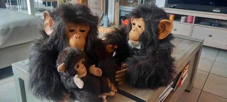 🐵 Draaiorgel furreal Hasbro tiger aap cuddle chimp, Muziek en Instrumenten, Draaiorgels, Zo goed als nieuw, Ophalen of Verzenden