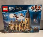 Grande salle Poudlard Harry Potter - 75954, Ophalen, Zo goed als nieuw