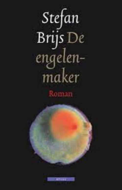 De engelenmaker|Stefan Brijs 9789045005300, Livres, Livres Autre, Comme neuf, Enlèvement ou Envoi