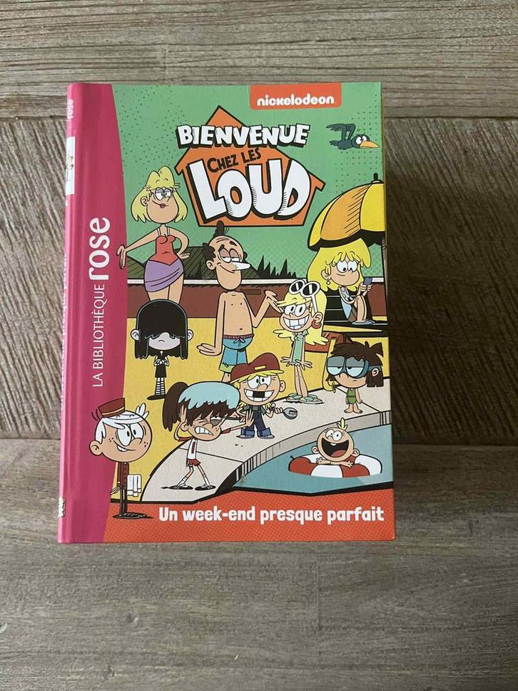 Bienvenue chez les loud - de la bibilotheque rose, Boeken, Kinderboeken | Jeugd | 10 tot 12 jaar, Zo goed als nieuw, Ophalen