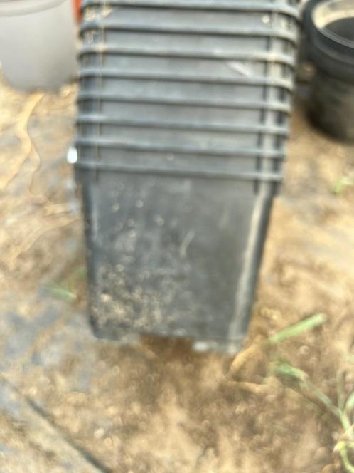 9 stuks vierkante kweekpotten harde plastiek 20 x 26 cm, Tuin en Terras, Bloempotten, Gebruikt, Kunststof, Binnen, Balkon, Tuin