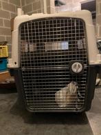 Maxpet JJ08 Ultra-Gigantische Transportkooi voor Grote Honde, Ophalen, Zo goed als nieuw