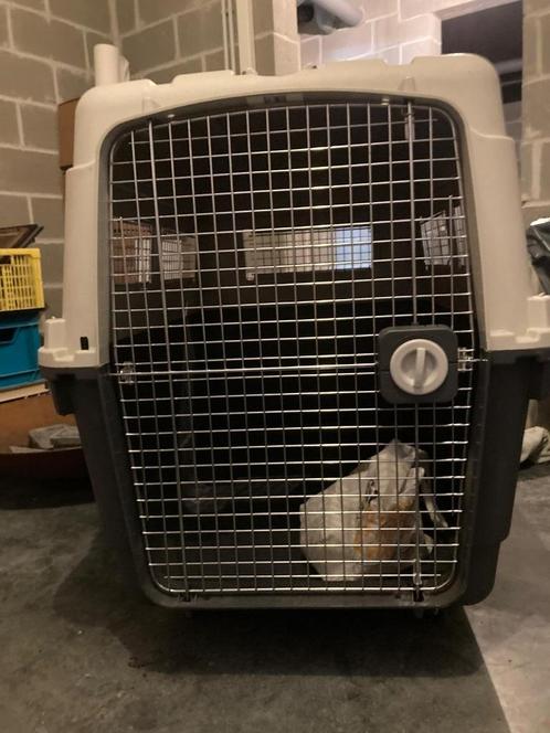 Maxpet JJ08 Ultra-Gigantische Transportkooi voor Grote Honde, Dieren en Toebehoren, Transportboxen, Zo goed als nieuw, Ophalen