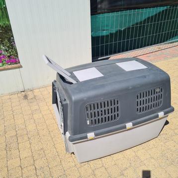 honden(reis)koffer voor grote hond, Enlèvement, Comme neuf