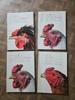 Koen Vanmechelen - Cosmopolitan Chicken, Antiek en Kunst, Ophalen of Verzenden
