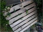 Palet om te geven, Doe-het-zelf en Bouw, Hout en Planken, Ophalen, Pallet