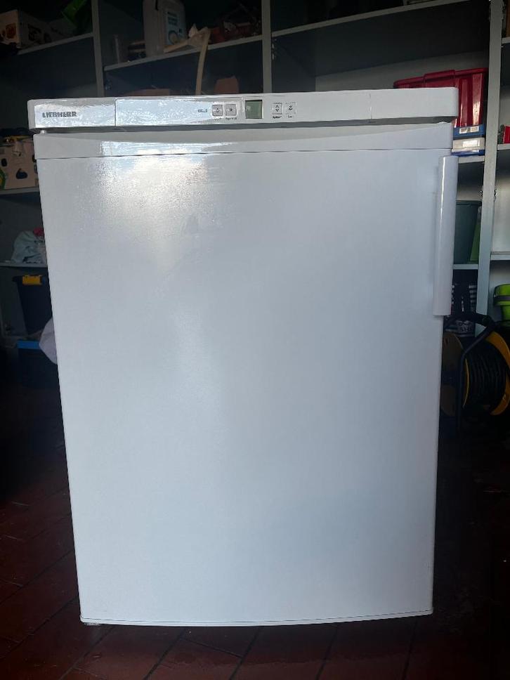 Liebherr diepvries, Elektronische apparatuur, Vriezers en Diepvrieskisten, Gebruikt, Vrijstaand, Vrieskast, 85 tot 120 cm, 60 tot 90 cm