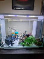 Moderne aquarium 60L, Animaux & Accessoires, Poissons | Aquariums & Accessoires, Enlèvement