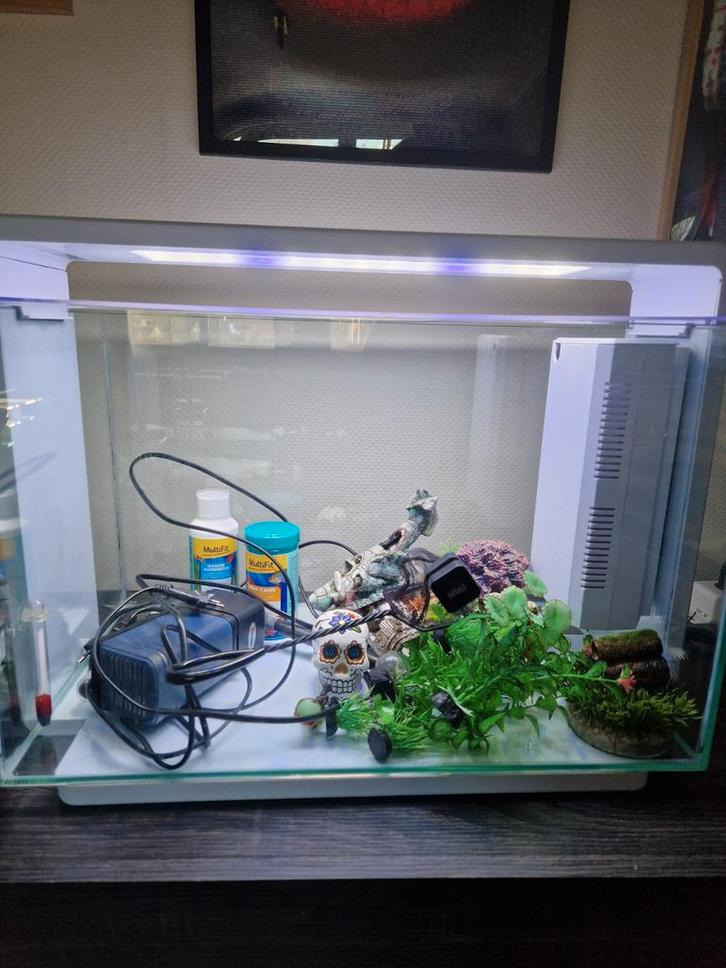 Moderne aquarium 60L, Dieren en Toebehoren, Vissen | Aquaria en Toebehoren, Ophalen