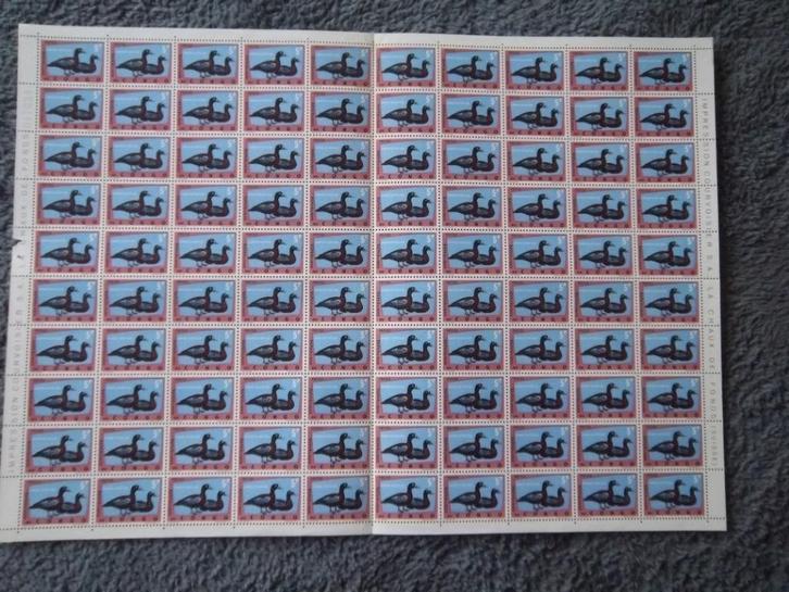 Vogels_6: Vel – MNH – Rep. du Congo – In uitmuntende staat, Postzegels en Munten, Postzegels | Thematische zegels, Postfris, Dier of Natuur