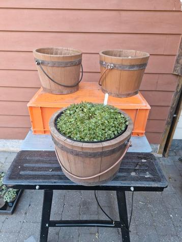 Pot de fleurs en bois de cèdre avec poignée, Enlèvement, Comme neuf