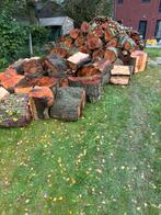 Bois 7m cube, 6 m³ ou plus, Enlèvement, Autres essences de bois, Bûches