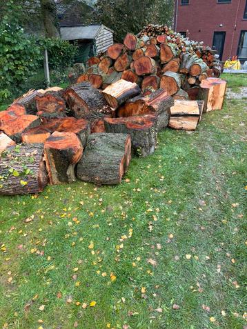 Bois 7m cube, 6 m³ ou plus, Enlèvement, Autres essences de bois, Bûches