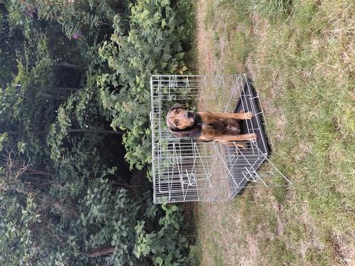Bench / kennel medium, Dieren en Toebehoren, Hondenbenches, Ophalen