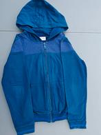 Hoodie Lincoln & Sharks maat 158, Ophalen of Verzenden, Zo goed als nieuw, Meisje, Trui of Vest