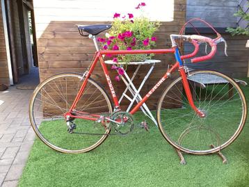 Le jeune vintage koersfiets beschikbaar voor biedingen