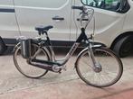 Giant elektrische fietsen, Fietsen en Brommers, Ophalen of Verzenden