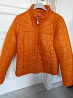 DONKERORANJE WINTERJAS 42 /NIEUWSTAAT, Kleding | Dames, Plage d'or, Maat 42/44 (L), Oranje, Ophalen of Verzenden