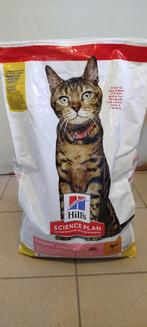 Kattenvoer, Dieren en Toebehoren, Ophalen, Kat