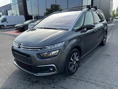 Citroen C4 Spacetourer 1.2 PureTech Shine Automaat, Auto's, Citroën, Bedrijf, C4, ABS, Airbags, Airconditioning, Bluetooth, Boordcomputer