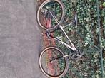 Mountainbike carbon, Fietsen en Brommers, Gebruikt, Heren, 45 tot 49 cm, Ophalen