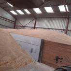 froment, Animaux & Accessoires, Juillet