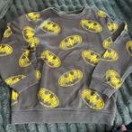 Hoodie, Kinderen en Baby's, Ophalen of Verzenden, Zo goed als nieuw
