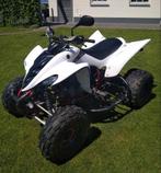 Yamaha raptor yfm 350, Motoren, Quads en Trikes, 349 cc, 1 cilinder, 12 t/m 35 kW