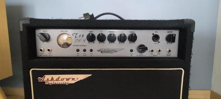 Ampli Bass Ashdown T 15  250 S, Muziek en Instrumenten, Versterkers | Bas en Gitaar, Zo goed als nieuw, Ophalen