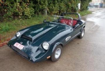 Austin Mini Biota 1967 beschikbaar voor biedingen