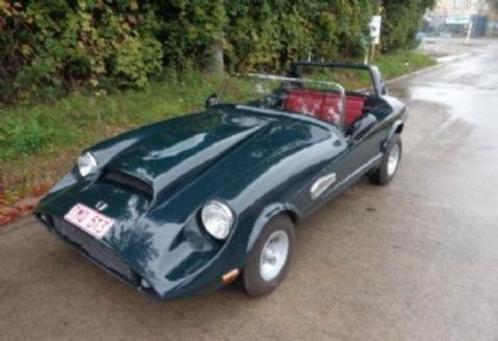 Austin Mini Biota 1967, Auto's, Austin, Particulier, Lichtmetalen velgen, Benzine, Cabriolet, Handgeschakeld, Groen, Overige kleuren