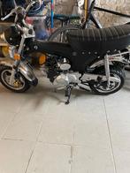 Zhenhua Dax Zwart - B-klasse - Amper 300 km, Ophalen, 49 cc, 4 versnellingen, Klasse B (45 km/u)