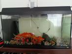 Aquarium juwel 125l complet, Dieren en Toebehoren, Ophalen, Gebruikt, Gevuld zoetwateraquarium