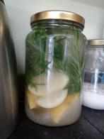 Waterkefir korrels, Enlèvement ou Envoi