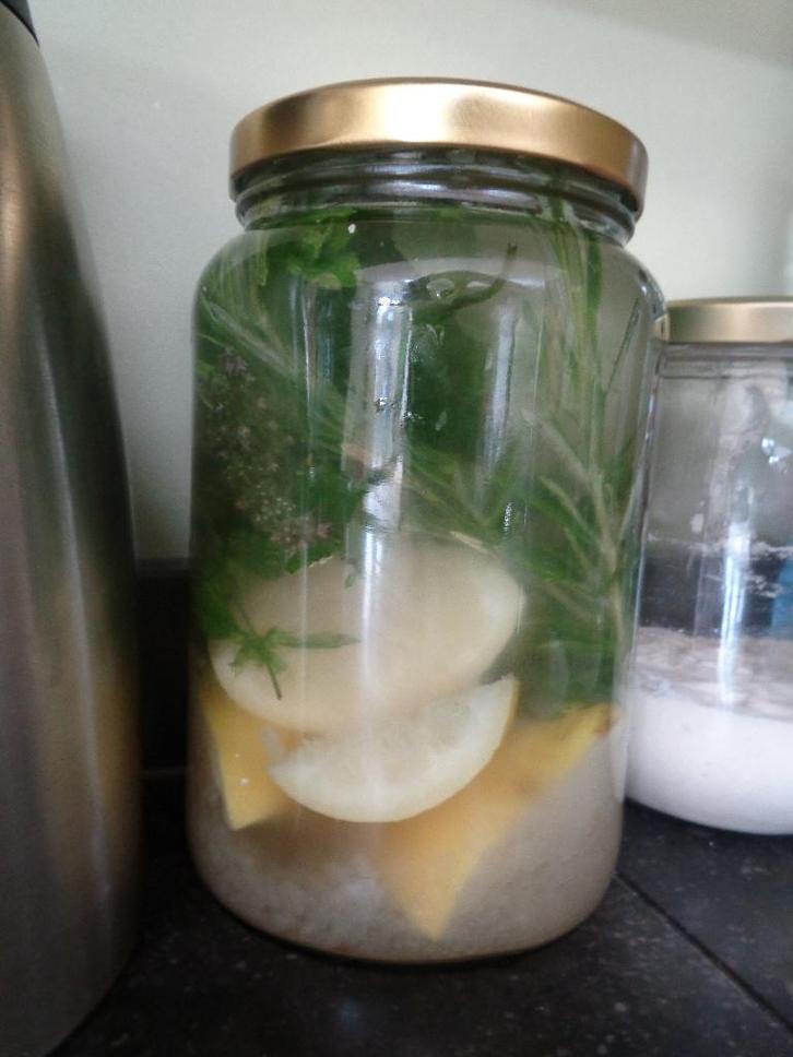 Waterkefir korrels, Diversen, Levensmiddelen, Ophalen of Verzenden