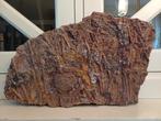 Groot en zwaar stuk met vele zeeleliestengels - crinoïden, Ophalen of Verzenden, Fossiel