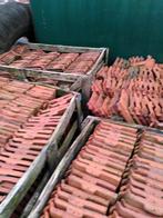 Franse stormpannen, Doe-het-zelf en Bouw, Ophalen, Gebruikt, Steen of Klei, 15 m² of meer