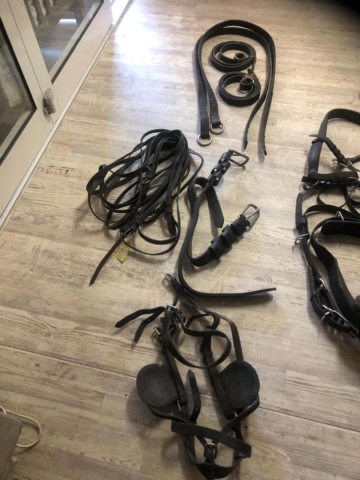 Ideal borsttuig enkelspan Full, Dieren en Toebehoren, Paarden en Pony's | Hoofdstellen en Tuigage, Gebruikt, Overige soorten, Ophalen
