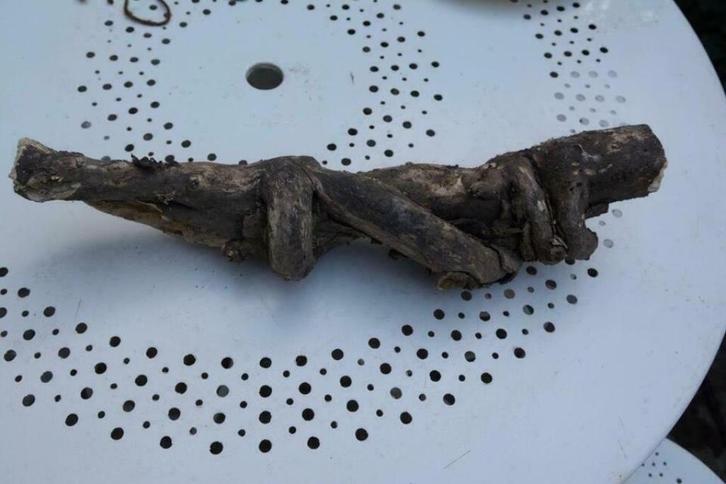 Donker gedraaid drijfhout L 48cm N46, Antiek en Kunst, Kunst | Beelden en Houtsnijwerken, Verzenden