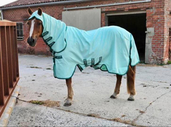 Verschillende dekens, Dieren en Toebehoren, Paarden en Pony's | Dekens en Dekjes, Zo goed als nieuw, Ophalen